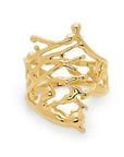 Large Splatter Ring