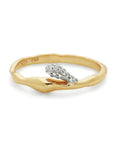 A Drop Above Splatter Ring