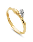 A Drop Above Splatter Ring