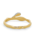 A Drop Above Splatter Ring
