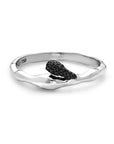 A Drop Above Splatter Ring